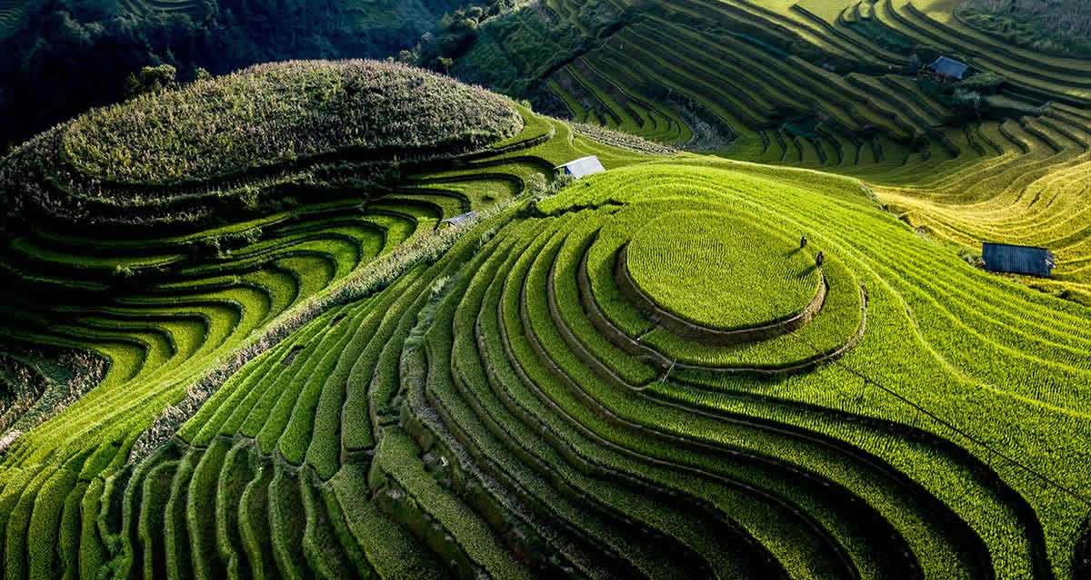 Arrozales Mai Chau